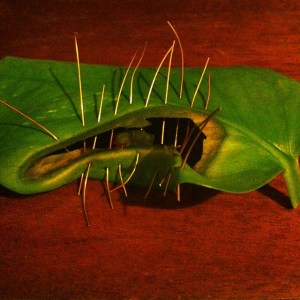 924501_626143790761047_1491441897_n